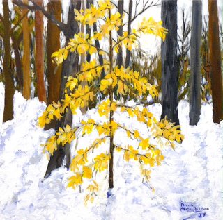 BEECH TREE 